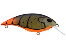 Berkley Shallow Money Badger 5 Crankbait