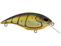 Berkley Shallow Money Badger 5 Crankbait