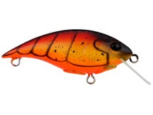 Berkley Shallow Money Badger 4 Crankbait