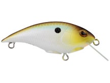 Berkley Shallow Money Badger 4 Crankbait