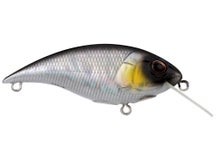 Berkley Shallow Money Badger 6.75 Crankbait