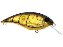Berkley Shallow Money Badger 6.75 Crankbait