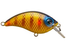 Bill Lewis ATV Squarebill 1.0 Crankbait