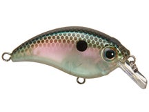 Bill Lewis ATV Squarebill 1.0 Crankbait