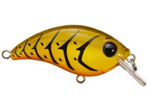 Bill Lewis ATV Squarebill 1.0 Crankbait