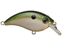 Bill Lewis ATV Squarebill 1.0 Crankbait