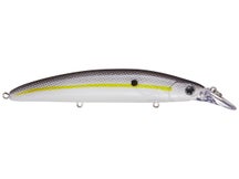 Battlestar 115 Jerkbait