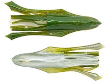 BioSpawn VileTube 6pk