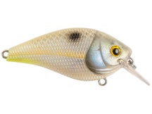 Booyah XCS1 Series Squarebill Fools Gold