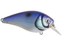 Booyah XCS2 Series Squarebill Black Shad