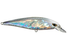 Duckett Baits BD79 Suspending Jerkbaits