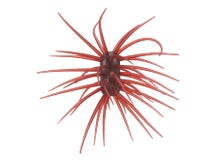 Duckett Fishing YEN Ashi Urchin 33mm