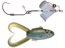 Scum Frog ClickClack Buzz