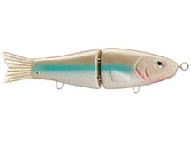 Catchem Caro Samurai Glide Bait