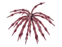 Coolbaits Coolball 17mm Urchin