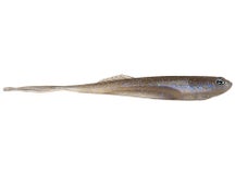 Cast Fishing Co. Echo 7.2" Lanier
