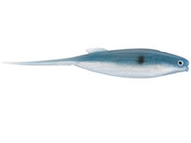 Castaic Jerky J's Gizzard Shad Blue 3.5"