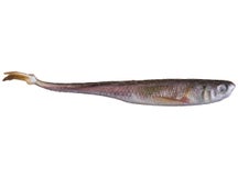 6th Sense Masterclass Crappie Strobe Minnow