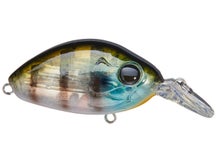 Damiki DC-100 Blue Gill