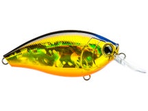 Duel Hardcore Crank 2+ Golden Shiner