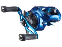 Daiwa Coastal-TWS Casting Reel