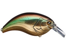 Deps Evoke 3.0 Squarebill Golden Shiner