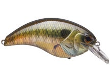 Deps Evoke 4.0 Squarebill Crankbait