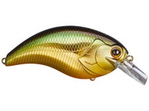 Deps Evoke 4.0 Squarebill Crankbait