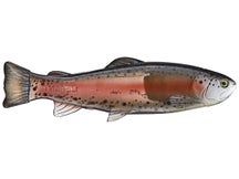 Defiant 247 Swimbait Ghost Dark Trout Mod Sink