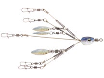 6th Sense Divine 5-Wire 4-Blade Finesse Umbrella Rig