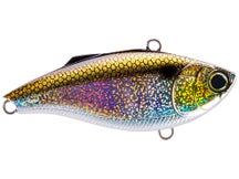 Duel Hardcore Flashi'n Vibe Lipless Crankbait