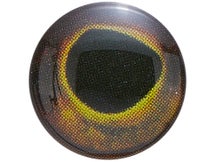 Do-it Hyper HD Series Eyes 100pk