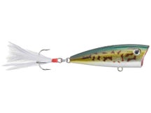 Don Iovino's Splash-It Poppers