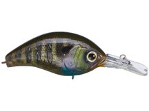 Deps Korrigan 250 Magnum Squarebill Crankbait