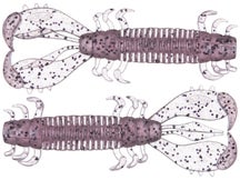 Deps MS Craw