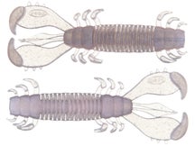 Deps MS Craw