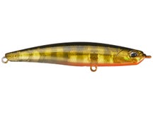 Duo Realis Bayruf Seek Ghost Gold Perch 85mm