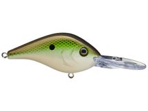 Berkley Dredger 14.5 Crankbaits