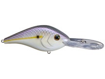 Berkley Dredger 25.5 Crankbaits