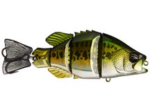 Duo Realis Snappy Crappie