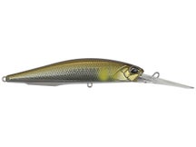 Duo Realis Jerkbait 100DR