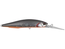 Duo Realis Jerkbait 100DR