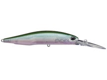 Duo Realis Jerkbait 100DR