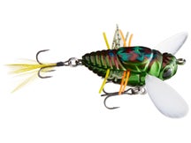 Duo Realis Shinmushi Cicada Bug