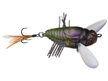 Duo Realis Shinmushi Cicada Bug