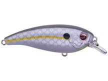 Evergreen International Bel Canto Crankbaits