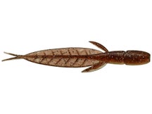 Evergreen C-4 Leech