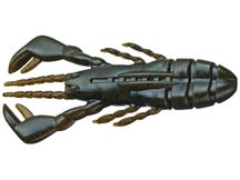 Evergreen Claw Motion