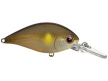 Evergreen CR 10 Crankbaits 