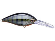 Evergreen CR 10 Crankbaits 